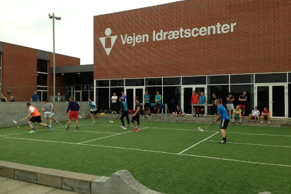 Danhostel Vejen Sport & Hytteby